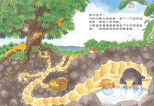 Load image into Gallery viewer, Little Mole and Baby Cicada • 小鼴鼠和蟬寶寶