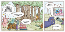 Load image into Gallery viewer, How Old Is Mr. Tortoise? • 烏龜先生今年幾歲?