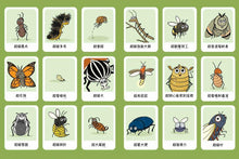 Load image into Gallery viewer, Burt the Beetle Doesn’t Bite! • 這隻甲蟲很天兵(1):不可能只有我沒有超能力吧?