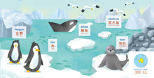 Load image into Gallery viewer, Habbi Habbi: Animals, Plants & Places (Bilingual Cantonese-English)