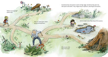 Load image into Gallery viewer, Bompa's Insect Expedition (English)