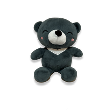 Load image into Gallery viewer, BUNDLE: A Little Book of Taiwanese Eats + 6.5" Plushie