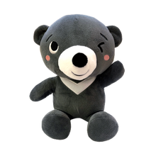 Load image into Gallery viewer, BUNDLE: Globetrots for Tots: TAIWAN Book + 8.5" Plushie