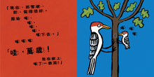 Load image into Gallery viewer, Peck Peck Peck • 啄木鳥愛打洞