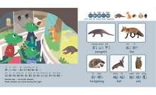 Load image into Gallery viewer, Going to the Zoo (Bilingual Chinese-English Search-and-Find Book) • 動物園 (中英雙語找一找遊戲書)