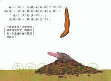 Load image into Gallery viewer, The Story of the Little Mole Who Went in Search of Whodunit • 是誰嗯嗯在我的頭上?