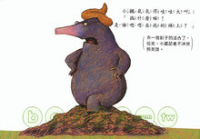 Load image into Gallery viewer, The Story of the Little Mole Who Went in Search of Whodunit • 是誰嗯嗯在我的頭上?