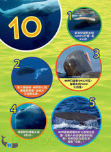 Load image into Gallery viewer, National Geographic Readers: Great Migrations for Kids • 大遷徙兒童版(一套四冊,附精美書盒)