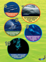 Load image into Gallery viewer, National Geographic Readers: Great Migrations for Kids • 大遷徙兒童版(一套四冊,附精美書盒)