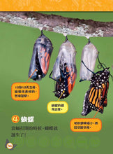 Load image into Gallery viewer, National Geographic Readers: Great Migrations for Kids • 大遷徙兒童版(一套四冊,附精美書盒)