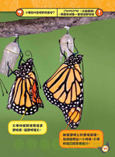 Load image into Gallery viewer, National Geographic Readers: Great Migrations for Kids • 大遷徙兒童版(一套四冊,附精美書盒)