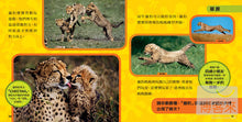 Load image into Gallery viewer, National Geographic Little Kids First Big Book of Animals • 國家地理小小動物探險家