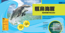 Load image into Gallery viewer, National Geographic Little Kids First Big Book of Animals • 國家地理小小動物探險家