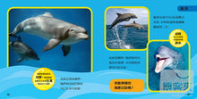 Load image into Gallery viewer, National Geographic Little Kids First Big Book of Animals • 國家地理小小動物探險家