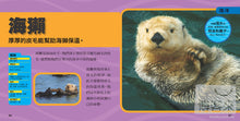 Load image into Gallery viewer, National Geographic Little Kids First Big Book of Animals • 國家地理小小動物探險家