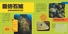 Load image into Gallery viewer, National Geographic Little Kids First Big Book of Animals • 國家地理小小動物探險家