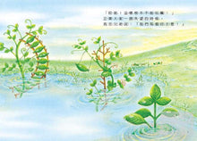 Load image into Gallery viewer, Little Fava Bean and the Little Fish • 小蠶豆和小鏘魚