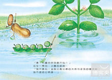 Load image into Gallery viewer, Little Fava Bean and the Little Fish • 小蠶豆和小鏘魚