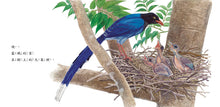 Load image into Gallery viewer, The Bird's Home • 鳥兒的家