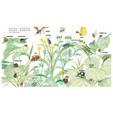 Load image into Gallery viewer, Let's Go Catch Some Bugs! • 帶我去抓蟲!