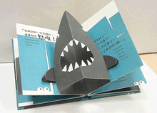 Load image into Gallery viewer, Who's Who Series Bundle (Set of 2) • 那裡怪怪的!雙語立體遊戲書(2冊)