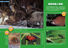 Load image into Gallery viewer, Doraemon Science World (Books 1-5) • 哆啦A夢科學任意門(1-5集)