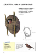 Load image into Gallery viewer, Nature's Architects: Mamoru Suzuki's Illustrated Book of 109 Animal Homes • 天生建築家:鈴木守的109種動物巢穴大發現