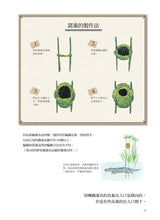 Load image into Gallery viewer, Nature's Architects: Mamoru Suzuki's Illustrated Book of 109 Animal Homes • 天生建築家:鈴木守的109種動物巢穴大發現