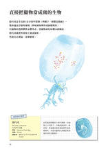 Load image into Gallery viewer, Nature's Architects: Mamoru Suzuki's Illustrated Book of 109 Animal Homes • 天生建築家:鈴木守的109種動物巢穴大發現