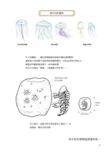 Load image into Gallery viewer, Nature's Architects: Mamoru Suzuki's Illustrated Book of 109 Animal Homes • 天生建築家:鈴木守的109種動物巢穴大發現