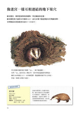 Load image into Gallery viewer, Nature's Architects: Mamoru Suzuki's Illustrated Book of 109 Animal Homes • 天生建築家:鈴木守的109種動物巢穴大發現