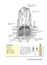 Load image into Gallery viewer, Nature's Architects: Mamoru Suzuki's Illustrated Book of 109 Animal Homes • 天生建築家:鈴木守的109種動物巢穴大發現