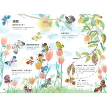 Load image into Gallery viewer, The Big Book of Bugs • 蟲蟲大書BUGS