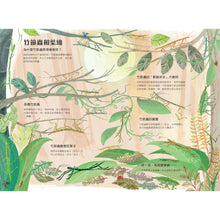 Load image into Gallery viewer, The Big Book of Bugs • 蟲蟲大書BUGS