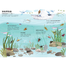 Load image into Gallery viewer, The Big Book of Bugs • 蟲蟲大書BUGS