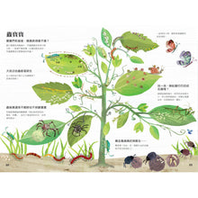 Load image into Gallery viewer, The Big Book of Bugs • 蟲蟲大書BUGS
