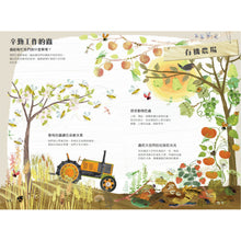 Load image into Gallery viewer, The Big Book of Bugs • 蟲蟲大書BUGS