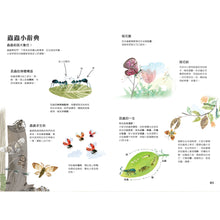 Load image into Gallery viewer, The Big Book of Bugs • 蟲蟲大書BUGS