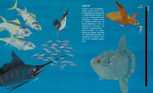 Load image into Gallery viewer, Down, Down, Down: A Journey to the Bottom of the Sea • 通往海底的奇妙旅程