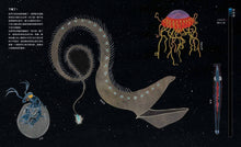 Load image into Gallery viewer, Down, Down, Down: A Journey to the Bottom of the Sea • 通往海底的奇妙旅程