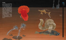 Load image into Gallery viewer, Down, Down, Down: A Journey to the Bottom of the Sea • 通往海底的奇妙旅程