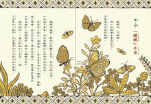 Load image into Gallery viewer, Silly Nonsense Chinese Idioms Stories (Set of 4) • 狐說八道成語故事(全套四冊)