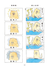 Load image into Gallery viewer, Product picture.