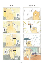 Load image into Gallery viewer, Product picture.