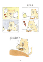 Load image into Gallery viewer, Product picture.