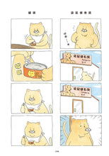 Load image into Gallery viewer, Product picture.