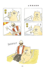 Load image into Gallery viewer, Product picture.