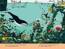 Load image into Gallery viewer, The Bear's Sea Escape • 小熊流浪記