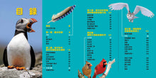 Load image into Gallery viewer, National Geographic Little Kids First Big Book of Birds • 國家地理小小鳥類探險家