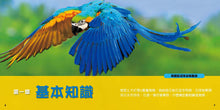 Load image into Gallery viewer, National Geographic Little Kids First Big Book of Birds • 國家地理小小鳥類探險家